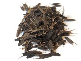 Attēlu rezultāti vaicājumam “Bidens frondosa fruit”