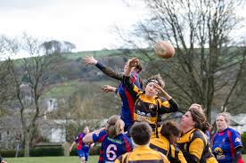 Image result for Totnes Rugby Club