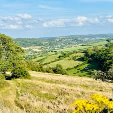 Image result for Runnymede Ramblers