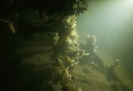 Image result for Xaverian (Liverpool) Octopush Club