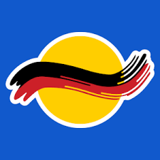 Image result for Flava Netball Club