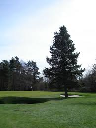 Image result for Caird Park Golf Club