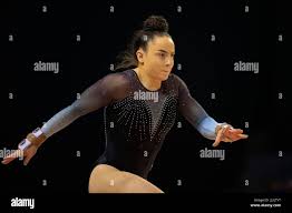 Image result for West Lothian Artistic Gymnastic Club