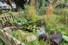 Image result for Greville Smyth Bowls Club