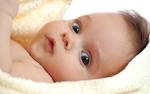 Top 15 Cute Babies Wallpaper