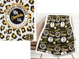 Image result for Cheetahs Softball Team