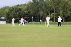 Image result for Bay Dragons CC