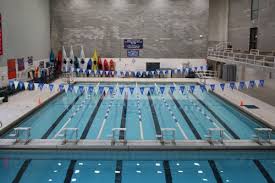 Image result for Horley Swimming Club