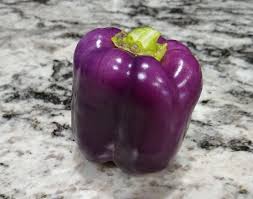Afbeeldingsresultaat voor purple beauty sweet pepper