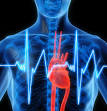 Board review ABIM American Board Internal Medicine certification ...