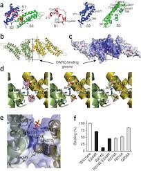 Attēlu rezultāti vaicājumam “Dianema depressum plasmodium”