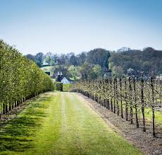 Image result for Staplehurst Cc