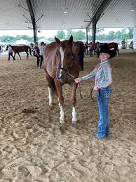 Image result for Oxford University Riding Club
