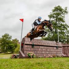 Image result for Jp-Sheffield Eventing