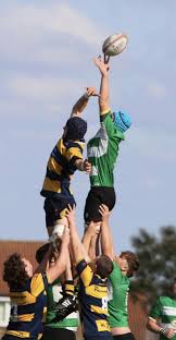 Image result for Aberdare Rugby Union Football Club