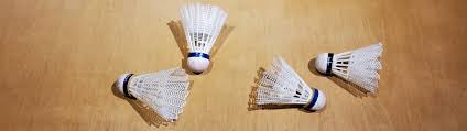 Image result for Christleton Badminton Club