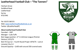 Image result for Ashford Tanners Handball Club