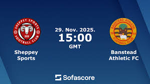 Image result for Banstead Athletic Fc