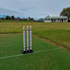 Image result for Chulmleigh & Mid Devon Cricket Club