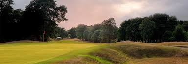 Image result for Brokenhurst Manor Golf Club