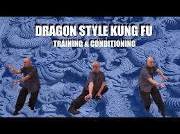 Image result for TRIANGLE CHANGQUAN FLYING DRAGON