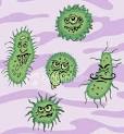 Long Lasting Germs « The Pendleton Panther