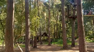 Image result for The Go Ape Experience (Swinley Forest)