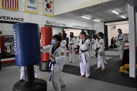 Image result for Freedom Martial Arts