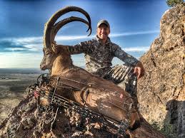 Image result for Fleet Ibex Field Archery Club