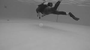 Image result for Looe Diving Club
