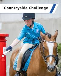 Image result for Riding For The Disabled Association