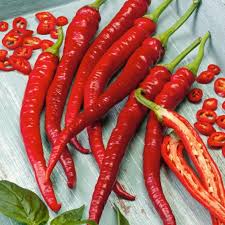 Afbeeldingsresultaat voor joe long cayenne hot pepper