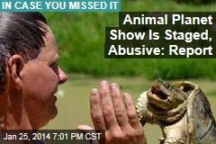 loading Animal Planet Show Is Staged, Plagued By Abuse - animal-planet-show-is-staged-plagued-by-abuse