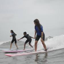 Image result for borte h