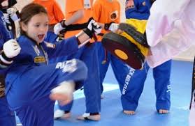 Image result for Bytomic Tae Kwon Do Windsor