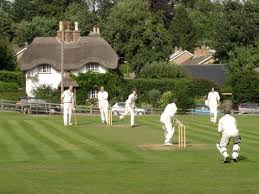 Image result for Forest Green Cricket Club