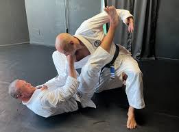 Image result for AAZENTAI JU JITSU