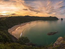 Image result for new chums beach