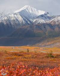 Image result for $$fall_akte__ort$$