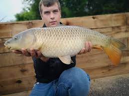 Image result for Diggle Angling Club