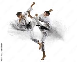 Image result for Masters of Martial Arts