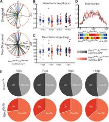 Image result for D.A.R.E!! Development + RadiSense III Y-Axis