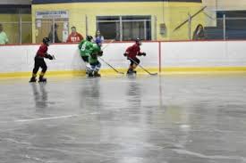 Image result for Halifax Roller Hockey Club