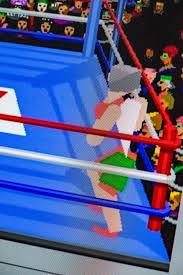 Image result for 4D Sports Boxing