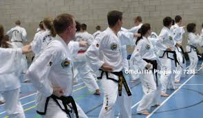 Image result for Wirral UKTA Taekwon-do