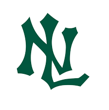 Image result for New Latchingdon Youth Football Club