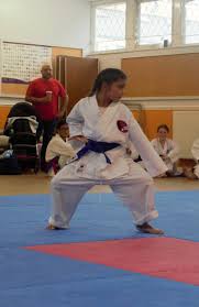 Image result for HEIWA SHOTOKAN KARATE CLUB