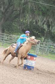 Image result for Lakes Riding Club