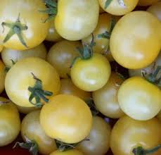 Afbeeldingsresultaat voor hawaiian white cherry tomato