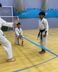 Image result for Haxby karate club